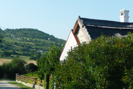 Szállás - Vendéglátás